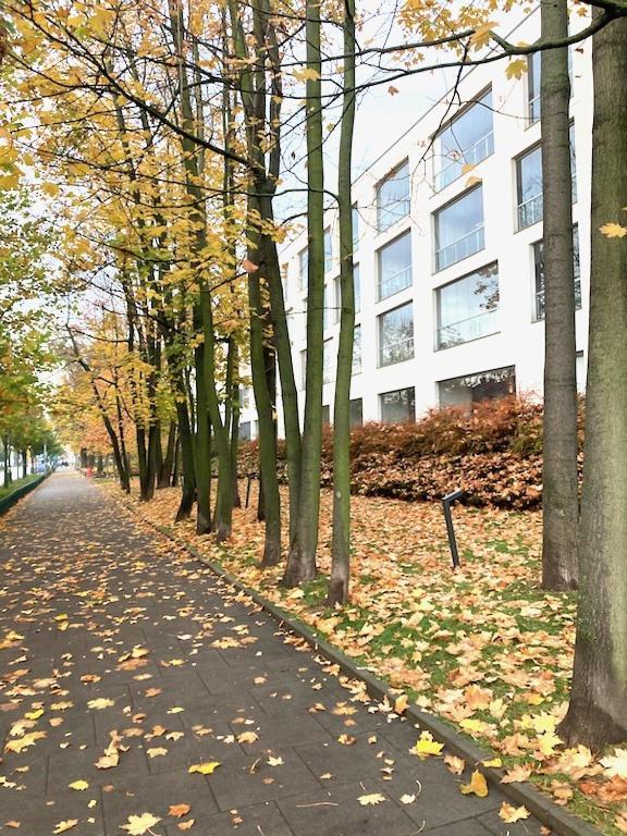 Apartment Novum Rakowicka Street Krasków Εξωτερικό φωτογραφία